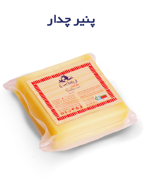 پنیر چدار 2
